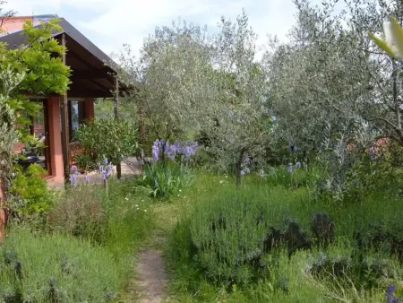 Oliveto Tignale, Maison 4 personnes à Manerba - Photo 25