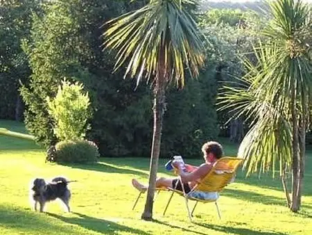'Spezial, Appartement 5 personnes à Manerba - Photo 18