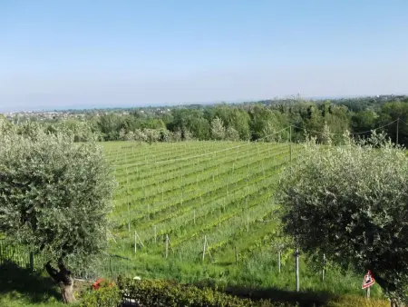 Villa Paradiso, 200 m² Ferienhaus, Maison 6 personnes à Manerba - Photo 10