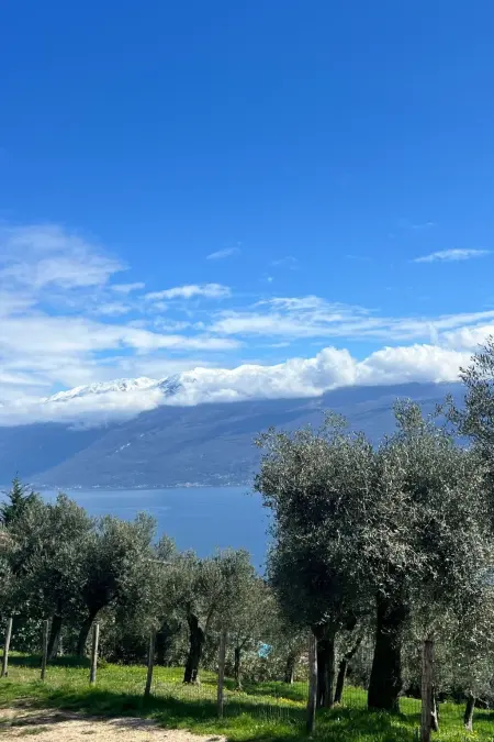 'Casello, Appartement 2 personnes à Toscolano - Photo 21
