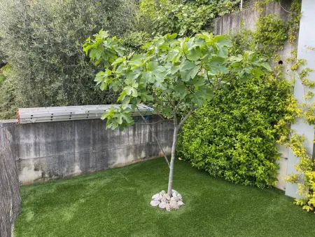 Seeblick Casa Franka, Maison 4 personnes à Toscolano - Photo 25