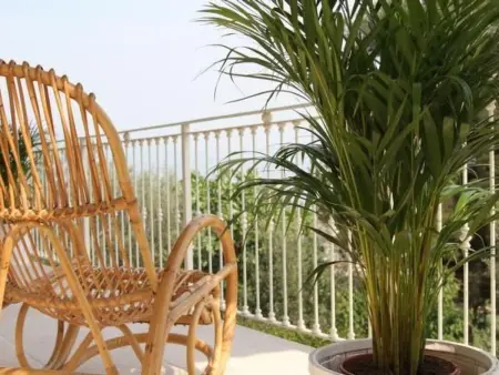 'Villa degli Ulivi, Maison 4 personnes à Toscolano - Photo 5