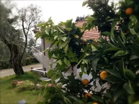 'Villa degli Ulivi, Maison 4 personnes à Toscolano - Photo 16