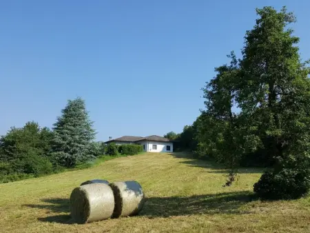 Dolomiten Weiße Rast, Maison 6 personnes à Coredo - Photo 2