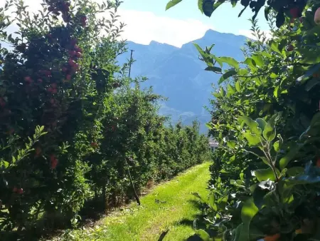 'Irma', Appartement 6 personnes à Levico Terme - Photo 32