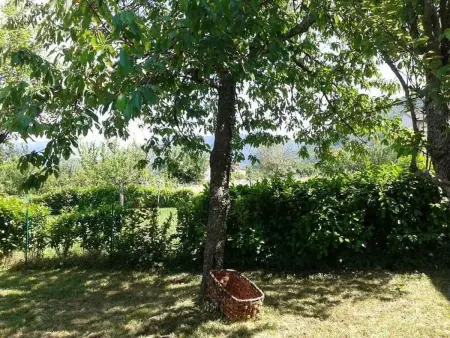 mit Wasserblick, Maison 4 personnes à Granaglione - Photo 17