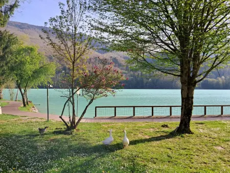 maison de vacances  Arba via manzoni ., Maison 6 personnes à Arba - Photo 67