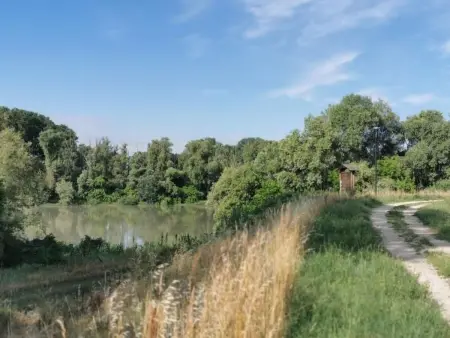 Ferienvilla 'Villa San Valentino, Maison 10 personnes à Castelbaldo - Photo 49