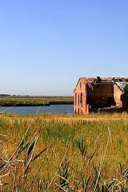 CILE 41, Maison 6 personnes à Comacchio - Photo 29