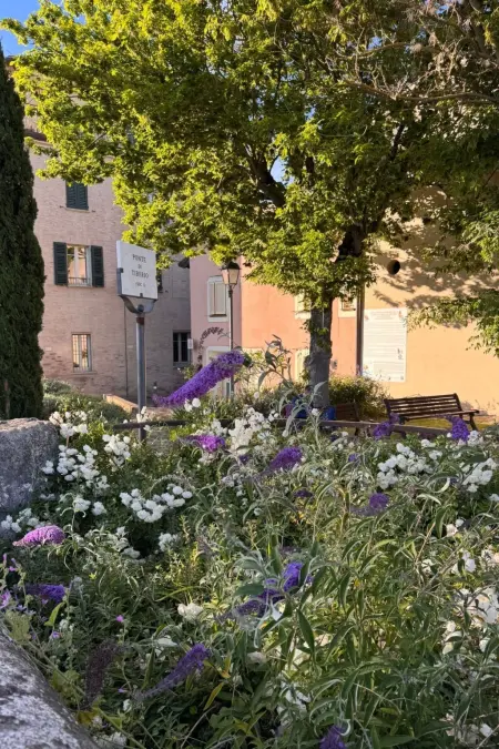 Flacher Strand und Zentrum, Privatparkplatz, Appartement 4 personnes à Rimini - Photo 25
