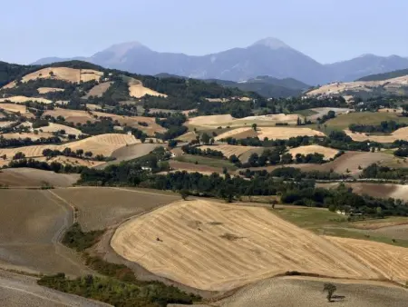 Ca Piero - ein antikes Borgo, Maison 8 personnes à Urbino - Photo 28