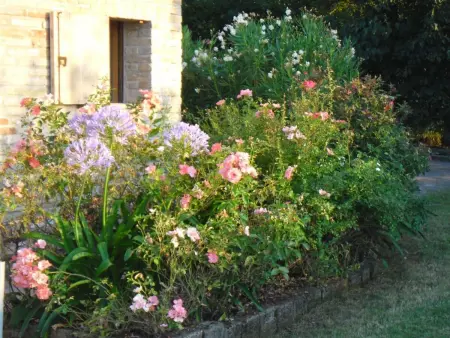 Haus in Ostra mit privatem Pool, Maison 4 personnes à Ostra - Photo 37