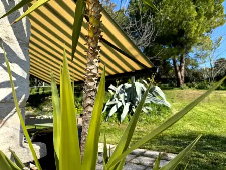CASA ANCARANO Sirolo, Maison 8 personnes à Polverigi - Photo 29