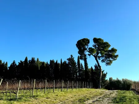 CASA ANCARANO Sirolo, Maison 8 personnes à Polverigi - Photo 40