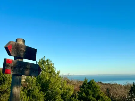 CASA ANCARANO Sirolo, Maison 8 personnes à Polverigi - Photo 43
