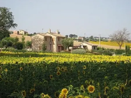 La Cascina del Poeta, Maison 12 personnes à Recanati - Photo 3