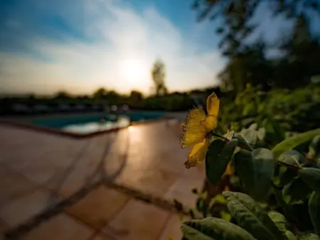 Villa mit Pool für 29 Personen ca. 800 m2, Maison 29 personnes à Montelparo - Photo 23