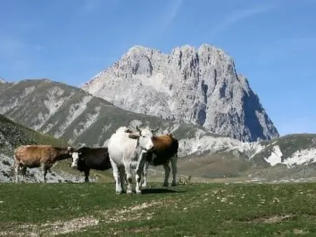 Casa Monteverde Real Rural Abruzzen, Maison 6 personnes à Cellino Attanasio - Photo 18