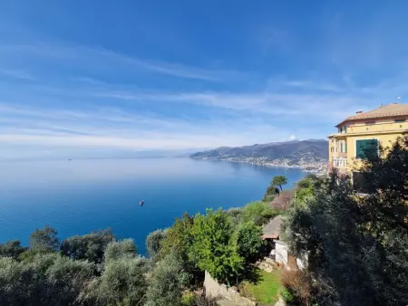 Casetta Romantica a San Rocco di Camogli by Holiday World - Photo 16
