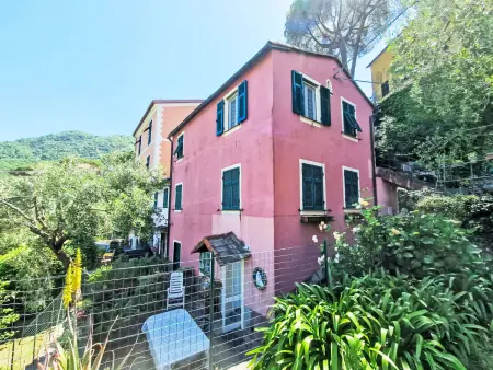 Ein Garten auf Camogli von Holiday World, Appartement 5 personnes à Camogli - Photo 25