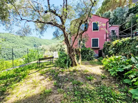 Ein Garten auf Camogli von Holiday World, Appartement 5 personnes à Camogli - Photo 26