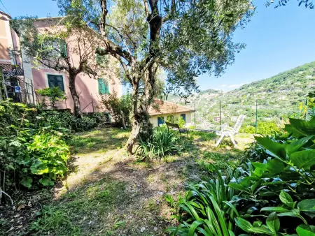 Ein Garten auf Camogli von Holiday World, Appartement 5 personnes à Camogli - Photo 27