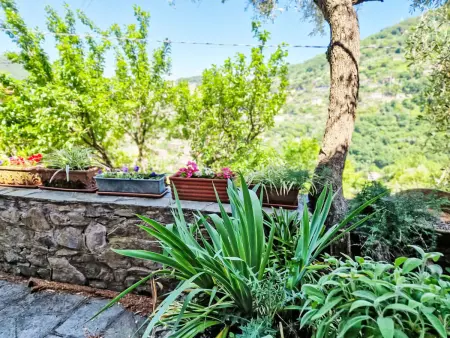 Ein Garten auf Camogli von Holiday World, Appartement 5 personnes à Camogli - Photo 28