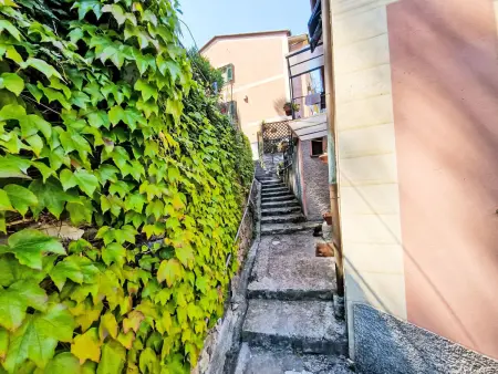 Ein Garten auf Camogli von Holiday World, Appartement 5 personnes à Camogli - Photo 35