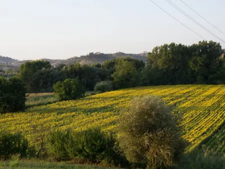 il Caratello, Appartement 6 personnes à Castelfalfi - Photo 28