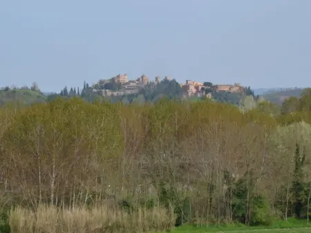 il Caratello, Appartement 6 personnes à Castelfalfi - Photo 35