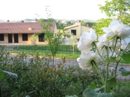 Lo Strettoio Wohnung mit Gemeinschaftspool, Appartement 5 personnes à Castelfalfi - Photo 13