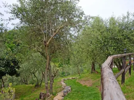 'Villa Lorien' mit Wasserblick, Maison 13 personnes à Corsanico - Photo 33