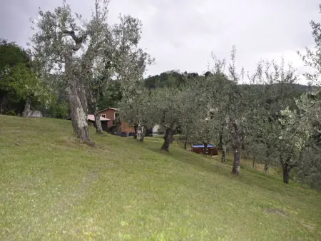 Casale Colle Belvedere, Maison 7 personnes à Lucca - Photo 15