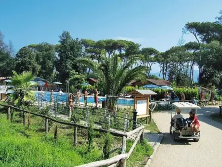 Mobilheim  Toscane1  mit Pool, Appartement 5 personnes à Viareggio - Photo 12