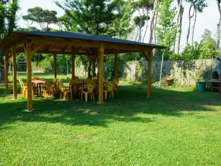 Toskana M4, Maison 4 personnes à Viareggio - Photo 4