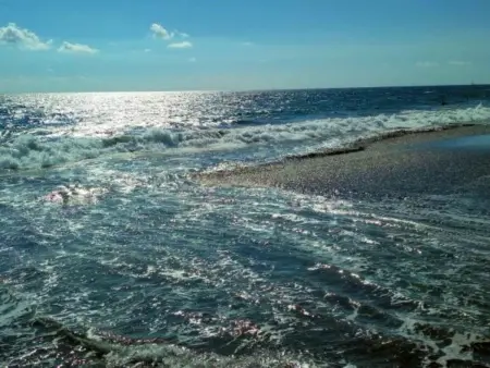 Toskana150, Maison 4 personnes à Viareggio - Photo 5