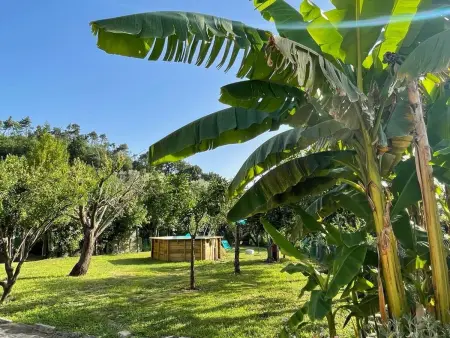 'Aia Sole' mit eigenem Pool, Maison 4 personnes à Massarosa - Photo 9