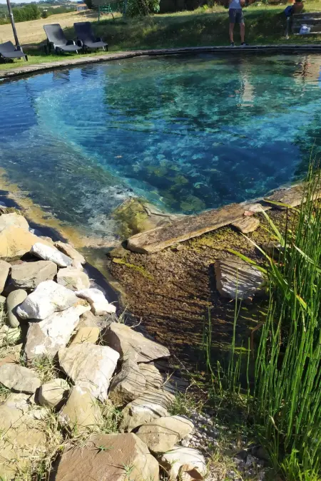 Villa Eleonora, Maison 9 personnes à Lucignano - Photo 2
