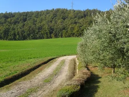 Kleines Appartement, Appartement 2 personnes à Anghiari - Photo 28