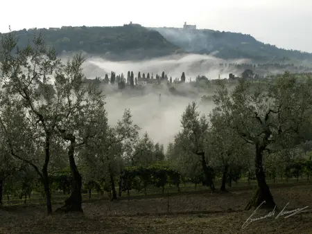 Villa III Apicus, Appartement 5 personnes à Volterra - Photo 36