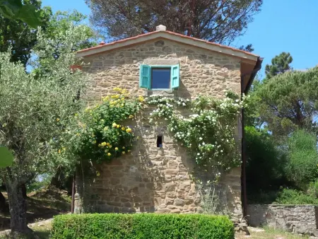 Anwesen mit Terrasse, Appartement 2 personnes à Loro Ciuffenna - Photo 3
