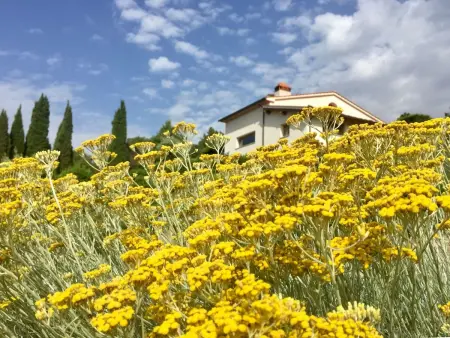 Villa mit Pool und zauberhafter Aussicht, Maison 8 personnes à Loro Ciuffenna - Photo 4