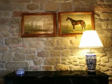 Villa Panzalla Rustico, Appartement 2 personnes à Greve in Chianti - Photo 10
