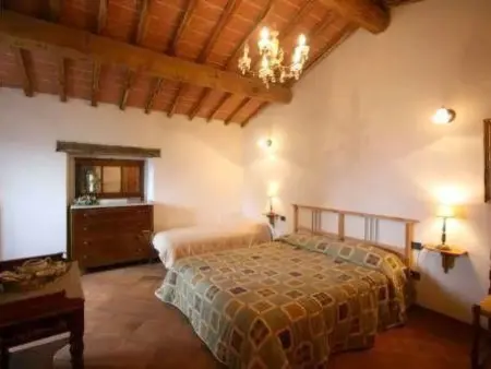 Villa Panzalla Scheune, Appartement 7 personnes à Greve in Chianti - Photo 19