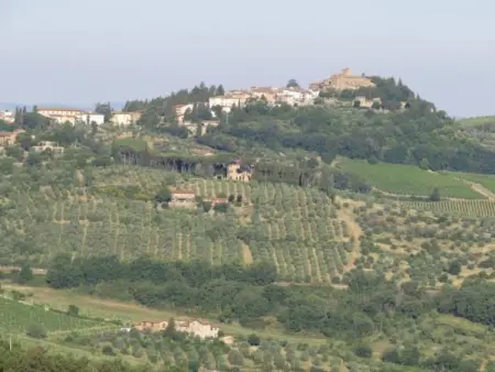l'Alto grosses Haus, Maison 6 personnes à Greve in Chianti - Photo 12