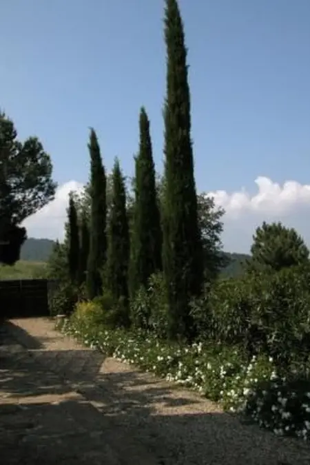 l'Alto grosses Haus, Maison 6 personnes à Greve in Chianti - Photo 17