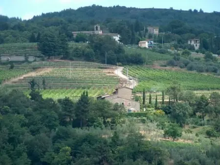 Campolungo, La Torre, Maison 2 personnes à Greve in Chianti - Photo 14