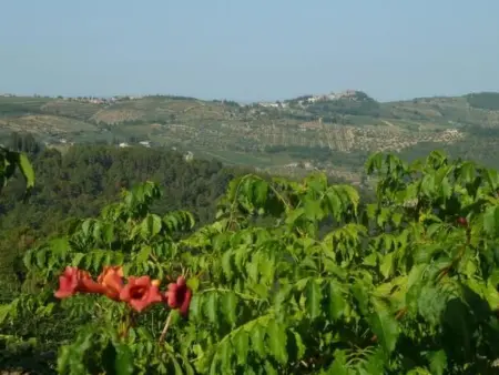 Il Lungo, Appartement 4 personnes à Greve in Chianti - Photo 11
