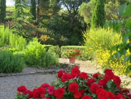 Il Lungo, Appartement 4 personnes à Greve in Chianti - Photo 15