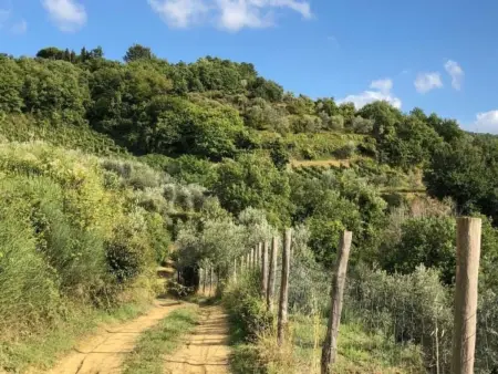 Il Lungo, Appartement 4 personnes à Greve in Chianti - Photo 22